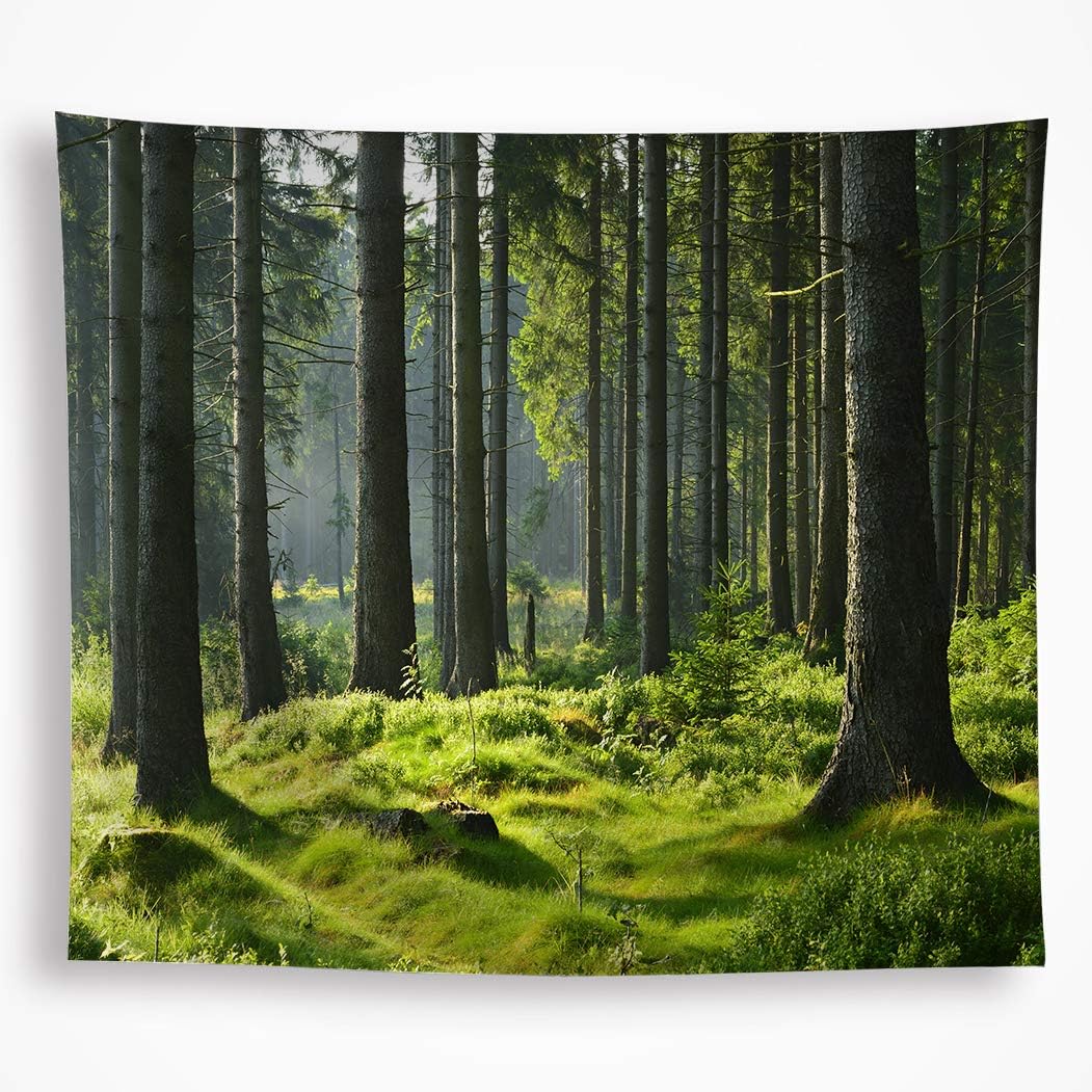 Amazon Com Vakado Forest Tree Tapestry Wall Hanging Nature Spring