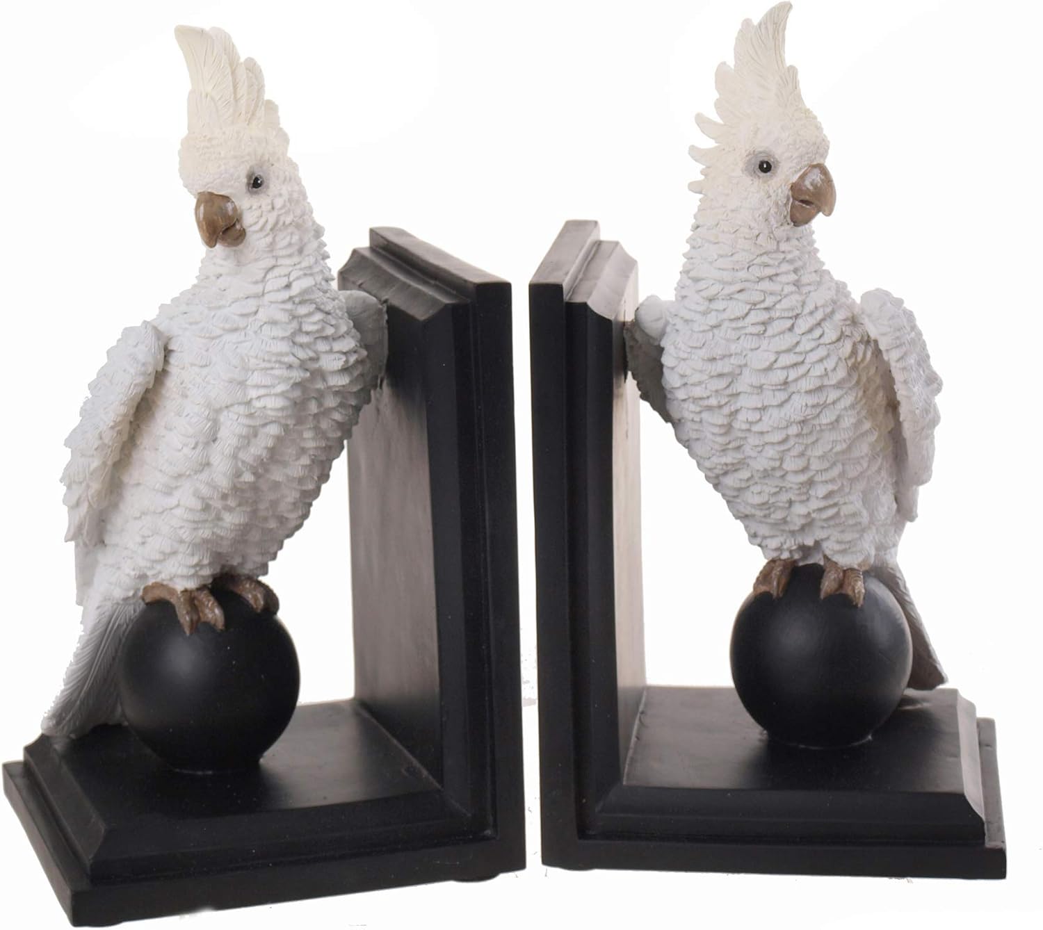 grey and white cockatiel