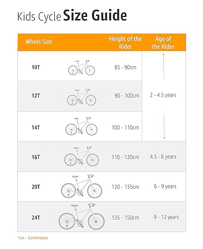 AVASTA 20 Inch Kids Bike Freestyle BMX Bicycles for 10 11