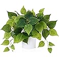 GnFlus Fake Plants Set Of 3 Artificial Plants Faux Pothos With White Ceramic Pots Fake Potted Plants Artificial Decor For Home Bathroom Shelf Desk Indoor