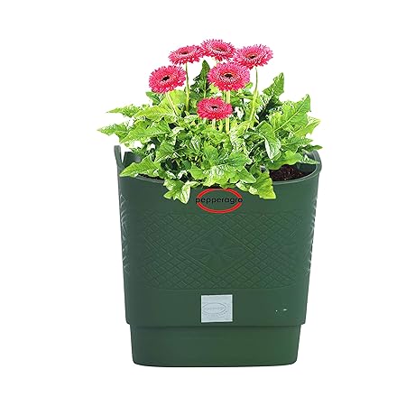 Pepper Agro Flower Pots Vertical Garden Wall Hanging Planter Green Set of 24
