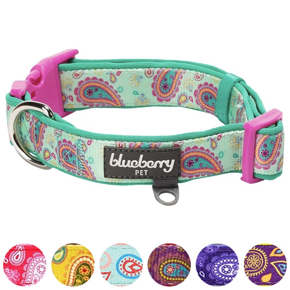 Blueberry Pet Soft & Comfy Paisley Flower Print Emerald Green