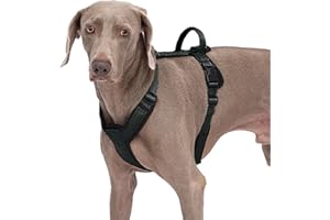 Abuandi Dog Harness with Security Lock Buckle for Small Medium Large Dogs, Adjustable Dog Cooling Vest, Reflective No Pull No Choke Harness for Trail Running, Walking, Hiking, Camping