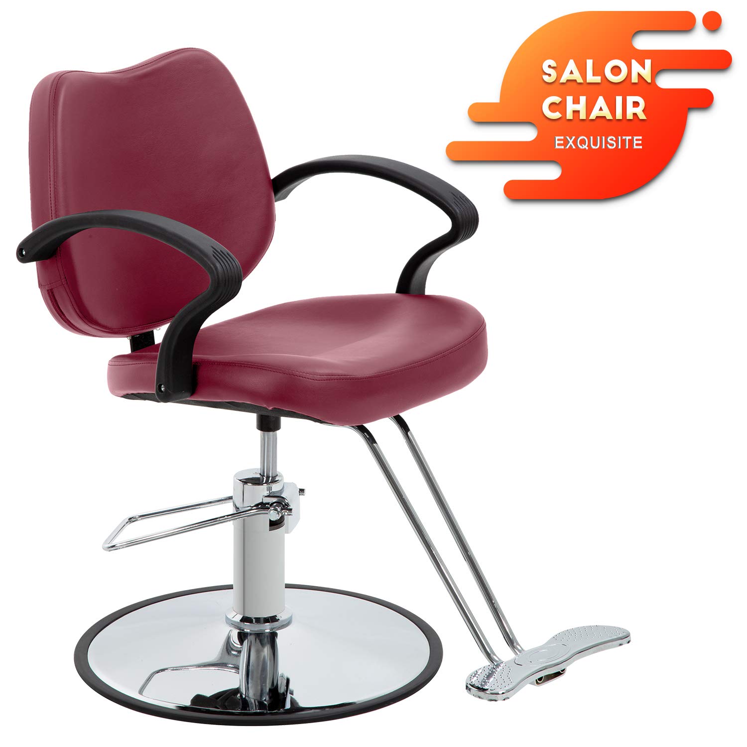 Salon Chair Barber Chair Styling Heavy Duty Hydraulic Pump Barber