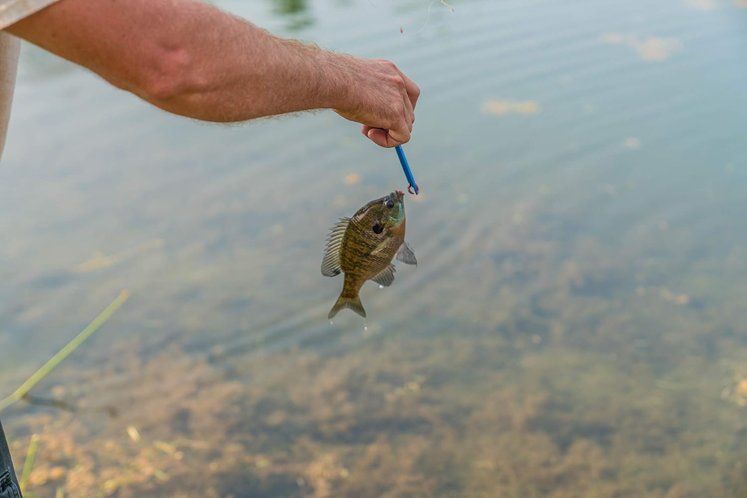 pro trigger release fish hook remover