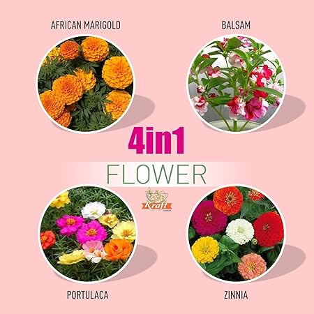 Kraft Seeds Flower Seeds 4 in 1 Varieties Superb Quality Seeds, Marigold, Balsam, Portulaca, Zinnia