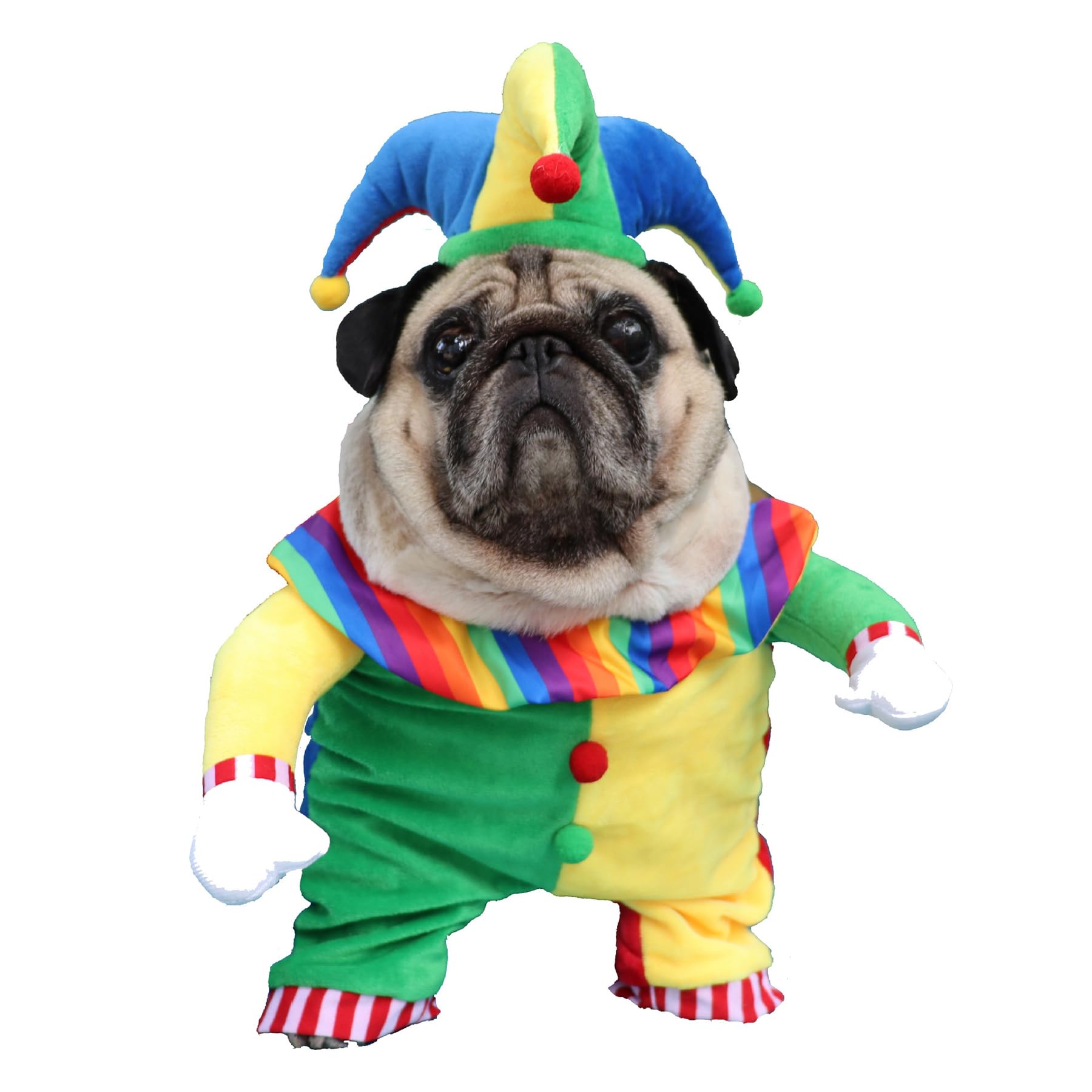Umimiss Dog Costume - Halloween & Christmas Clown Transformation Cosplay for Dogs