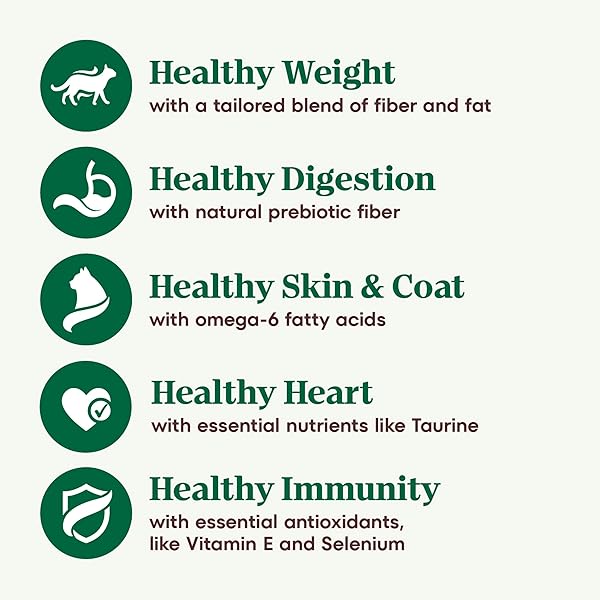 NUTRO WHOLESOME ESSENTIALS DRY CAT FOOD, INDOOR CAT FOOD DRY CHICKEN & BROWN RICE RECIPE, 5 LBS.