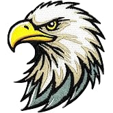 3.5" Eagle Head Iron On Patch - Embroidered Bald Hawk Biker Military Patriotic Motorcycle Rocker Eagles Applique Appliques Iron On Sew On Patches for Holes, Clothing, Jeans, Hat, Backpacks, Clothes