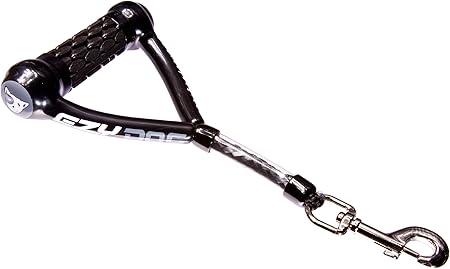 rehomed cat not eating