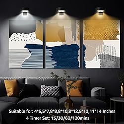 MIOBLUE 3Pack Rechargeable Battery Pictureainting