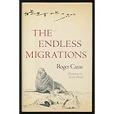 The Endless Migrations