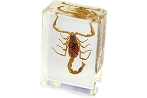 REALBUG Golden Scorpion Paperweight (1.8x1.1x0.8)