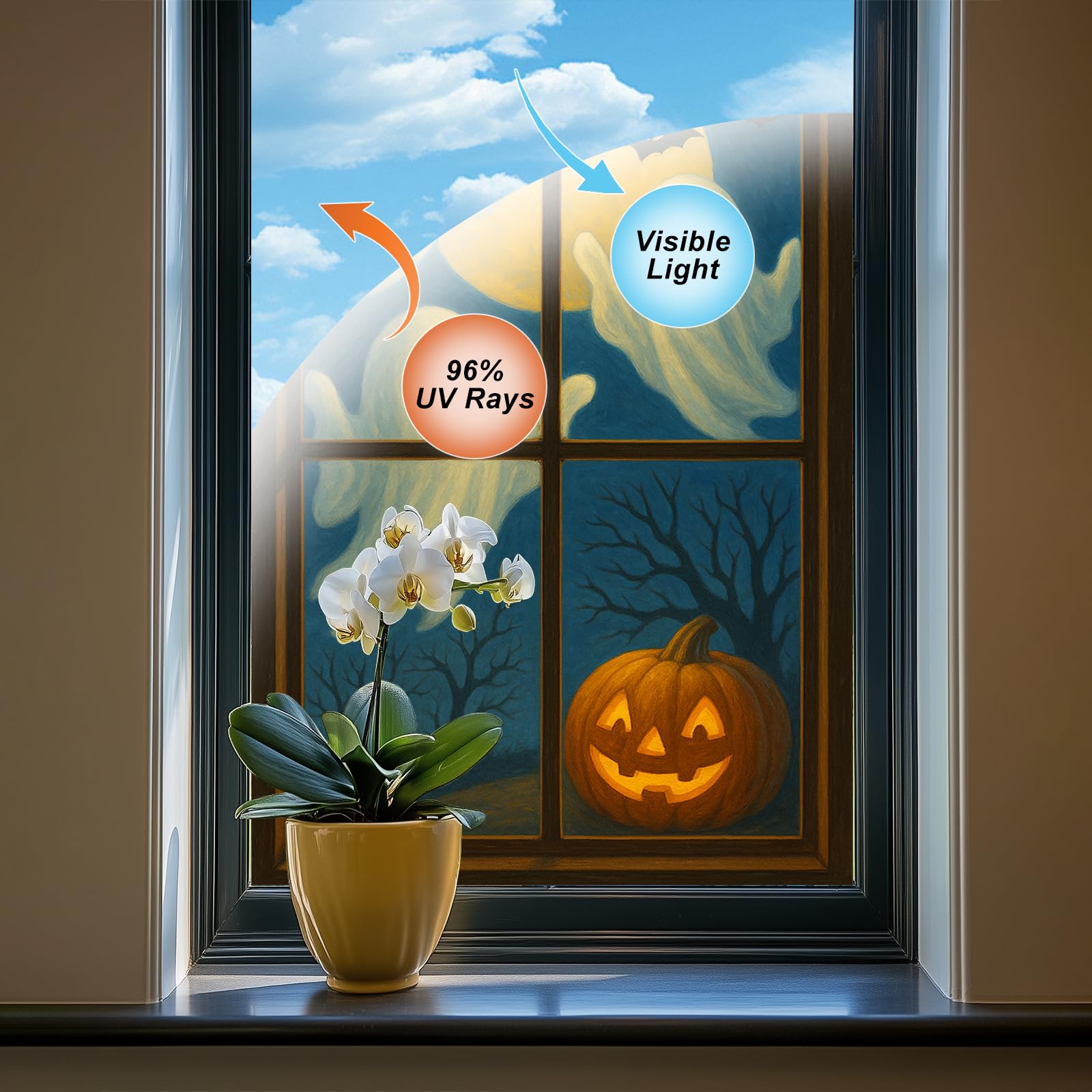 https://images-na.ssl-images-amazon.com/images/I/71re1slnPhL.jpg