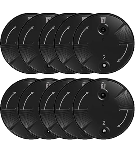 Phonak CeruShield CeruGuard Hearing Aid Wax Guard Disks – 4 Disks, 32 Filters (098-0445) For BTE Models, Black