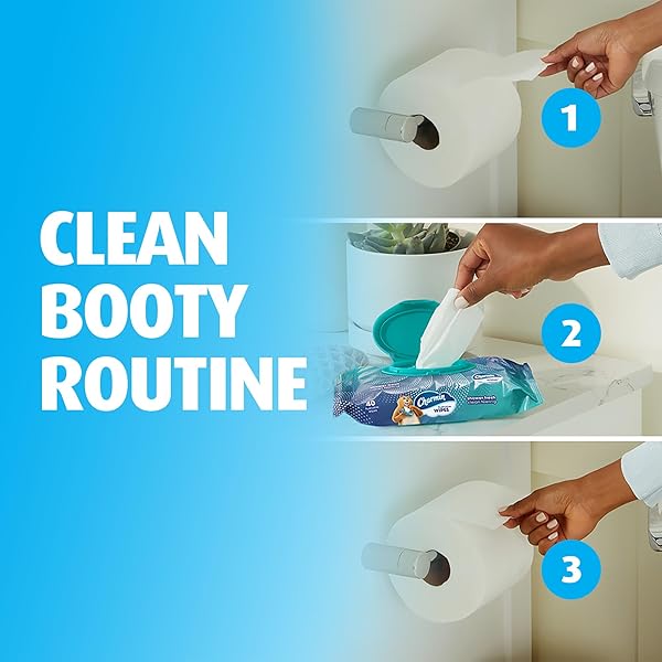 CHARMIN FLUSHABLE WIPES, 160 TOTAL WIPES (4 PACKS OF 40)