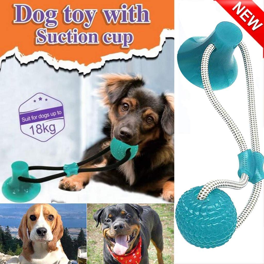 The 10 Best Agility Ladder Suction Cups