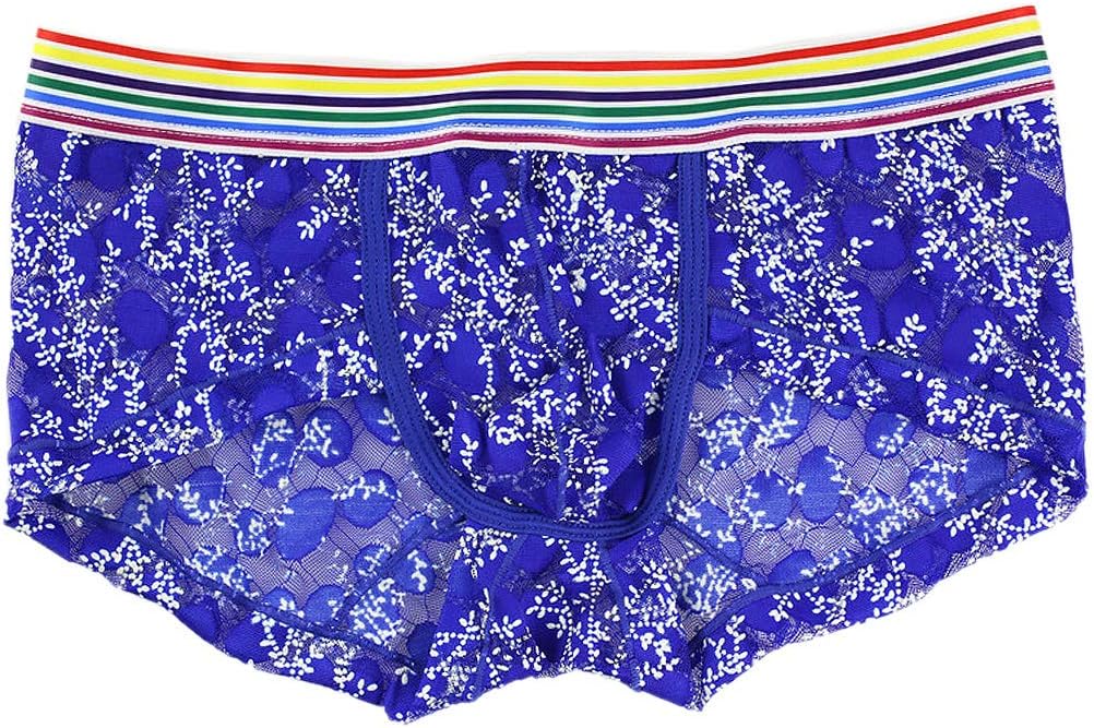 Testudineus Men's Sheer Mesh Boxer Shorts See-Through Underwear Briefs Swimsuit Trunks Underpants