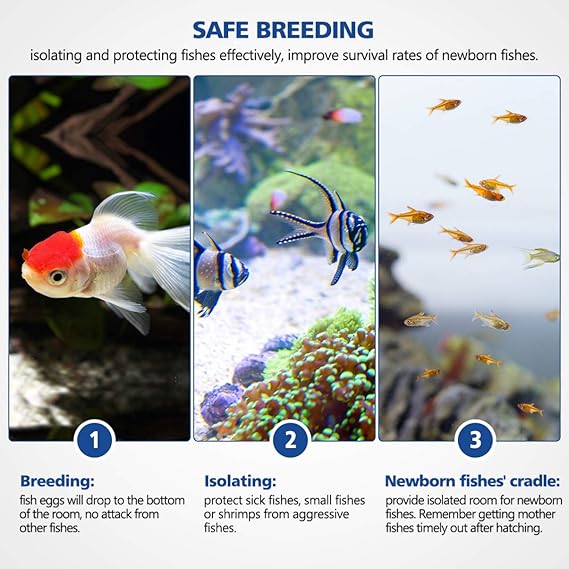 Amazon Com Popetpop Fish Breeding Box Acrylic Fish Isolation