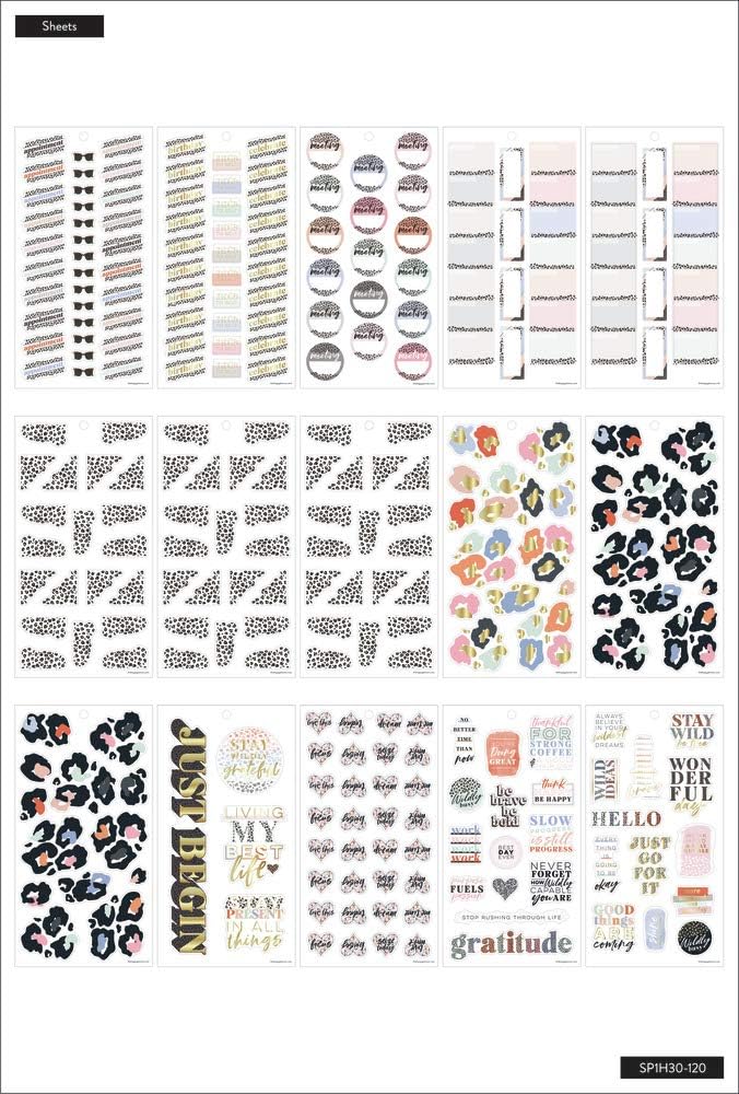 The Happy Planner Sticker Value Pack - Planner Accessories - Colorful Leopard Theme - Multi-Color - Great for Planning, Project & Scrapbooking - 30 Sheets, 603 Stickers: Office Products