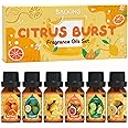 SALKING Citrus Burst Essential Oil Set, Premium Fragrance Oil for Diffuser, Scented Oil Gift Set for Soap Candle Making - Sweet Orange, Bergamo, Lemon, Grapefruit, Lime, Yuzu