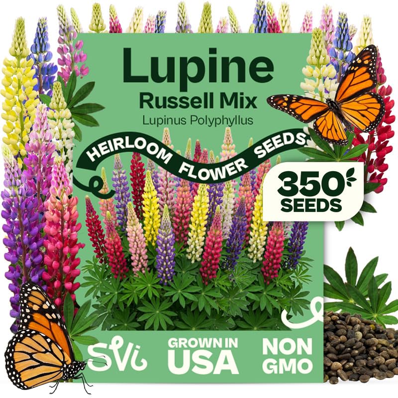 SVI 350 Mix Russell Lupine Seeds