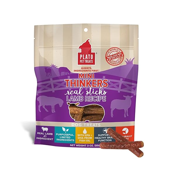 PLATO PET TREATS THINKERS – MEAT STICK TREATS FOR DOGS – LIMITED INGREDIENT DOG TREATS WITH EPA AND DHA TO SUPPORT SKIN, COAT, AND BRAIN – AIR-DRIED DOG TREATS – MINI THINKERS LAMB 3OZ