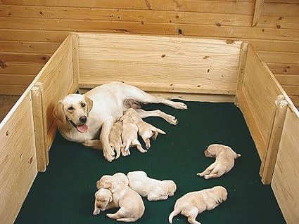 puppy mates whelping box