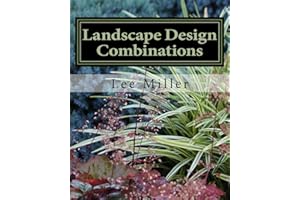 Landscape Design Combinations