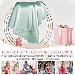 Mulberry Silk Pillow Cases 2 Pack Standard Size