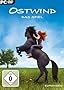 Ostwind - Das Spiel