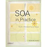 SOA in Practice: The Art of Distributed System Design (Theory in Practice)