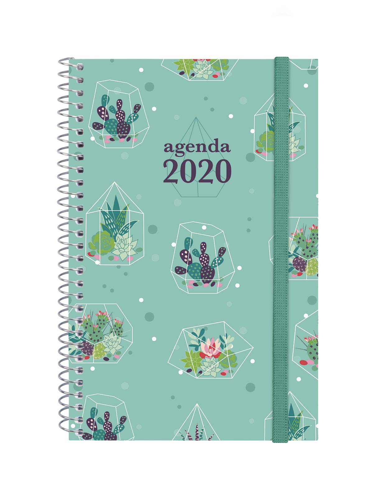 Finocam - 2020 Week to View Landscape Spiral Design Collection Spanish Cactus