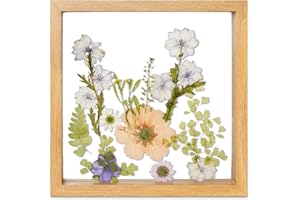 fanhuashijn Clear Pressed Flower Frame - Dried Flower Frame Adult Girls Night Crafts for Women Mother Gift (Purple, Medium)