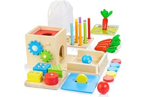 Kizfarm Educational Montessori Toys for 1 2 Year Old, Include Object Permanence Box, Magnetic Worm Game, Carrot Harvest Toy, 