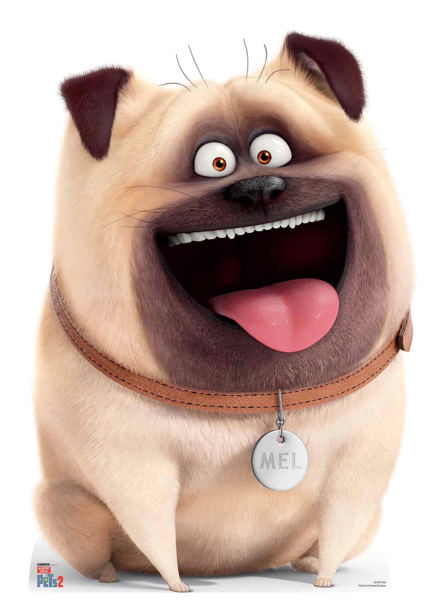 Star Cutouts Ltd SC1379 Mel Pug Dog Secret Life of Pets Lifesize Cardboard Cutout/Standee/Standup Height 91cm Width 67cm Perfect for Fans, Collectors and Events, Multicolour