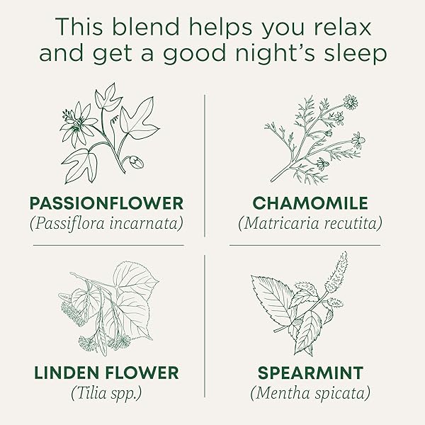 TRADITIONAL MEDICINALS ORGANIC NIGHTY NIGHT WITH PASSIONFLOWER HERBAL TEA, PROMOTES A GOOD NIGHT’S SLEEP, (PACK OF 1) – 16 TEA BAGS