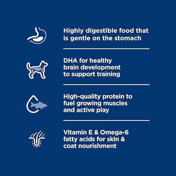 HILL’S SCIENCE DIET SENSITIVE STOMACH & SKIN, PUPPY, STOMACH & SKIN SENSITIVITY SUPPORT, DRY DOG FOOD, SALMON & BROWN RICE, 4 LB BAG