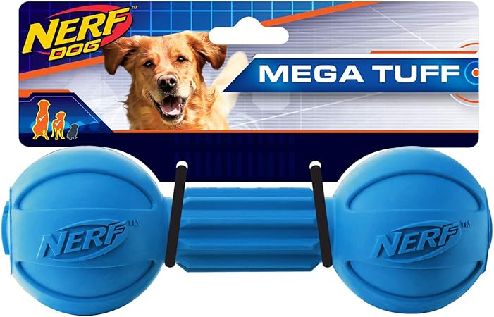 grey toy poodle for sale