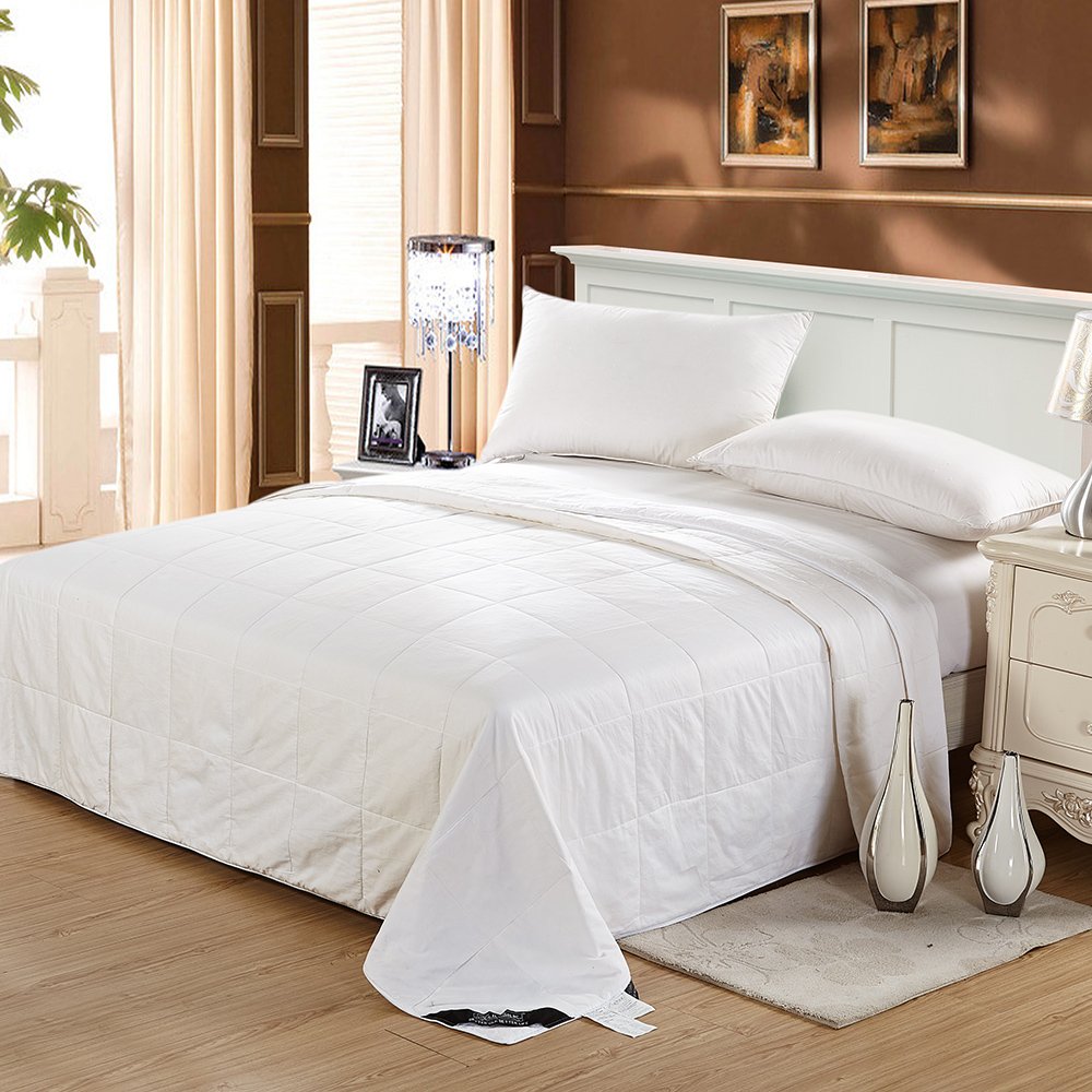 Lilysilk Silk Comforter Washable Cotton Covered Filled with 100 Percent
