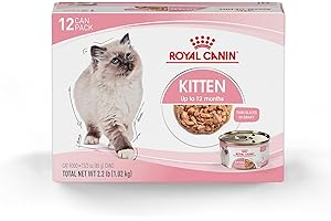 Royal Canin Feline Health Nutrition Kitten Thin Slices in Gravy Cat Food, 3 oz (Pack of 12)