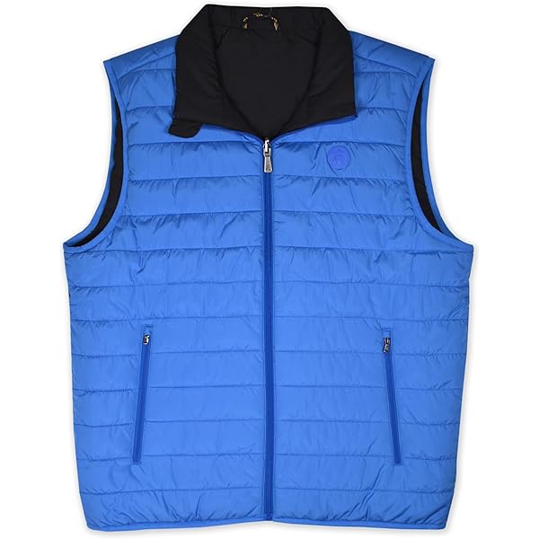 トップス TheThreeRobbers PROCESS DOWN VEST 40 トップス TheThreeRobbers PROCESS DOWN VEST 40 トップス