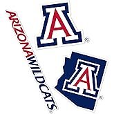 Desert Cactus University of Arizona UA Wildcats Sticker Vinyl Decals Laptop Water Bottle Car Scrapbook T5 (Type 5-1)