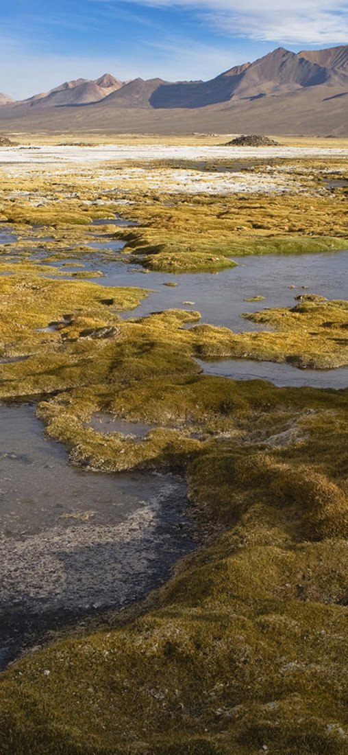 PeelitStickit, Beautiful Nature Wall Murals, ID-1352, vinyl