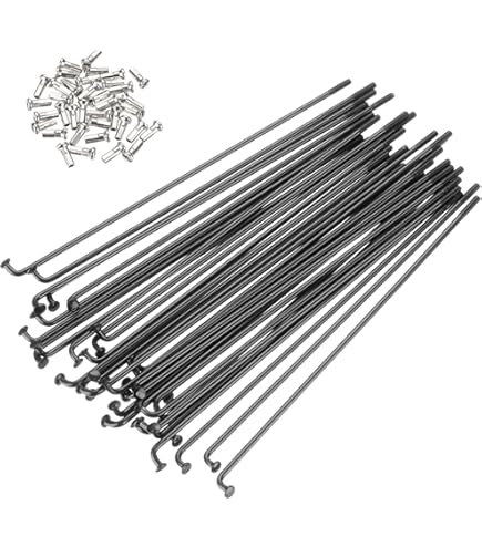 Roue Arrière Vintage Lowrider 29 Pouces Acier Noir, 144 Rayons, Frein Coaster
