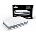 Bedgear Storm Performance Pillow – 2.0 - Cooling Bed Pillow for Hot Sleepers - Medium Firmness Pillow for All Sleep Positions, Washable & Removable Cover - 20" W x 26" L x 5.75" H