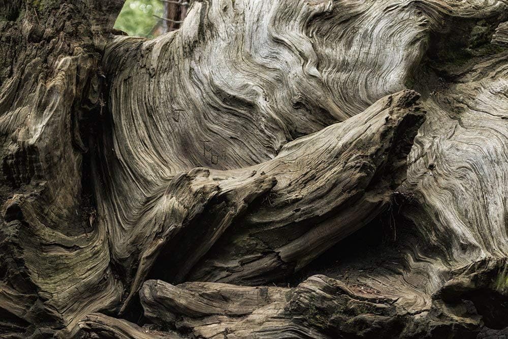 " Etched by Nature Scarred by Man" Fine Art Photography Print