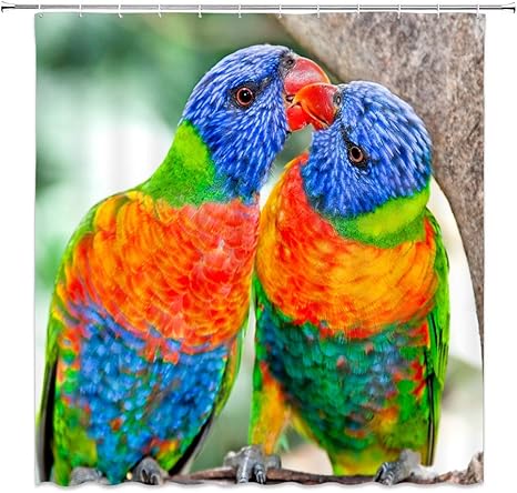 Amazon Gooeoo カラフルな鳥シャワーカーテンオーストラリアレインボーオーストラリアオウム 自然な装飾生地モダンなバスルームカーテン71x71インチには12プラスチックフック防水が含まれています シャワーカーテン ホーム キッチン オンライン通販