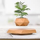 Leekimid Levitating Plant Pot, Magnetic Levitation Flower Pot Suspension Floating Plant Succulents, Air Bonsai Potted Plant f