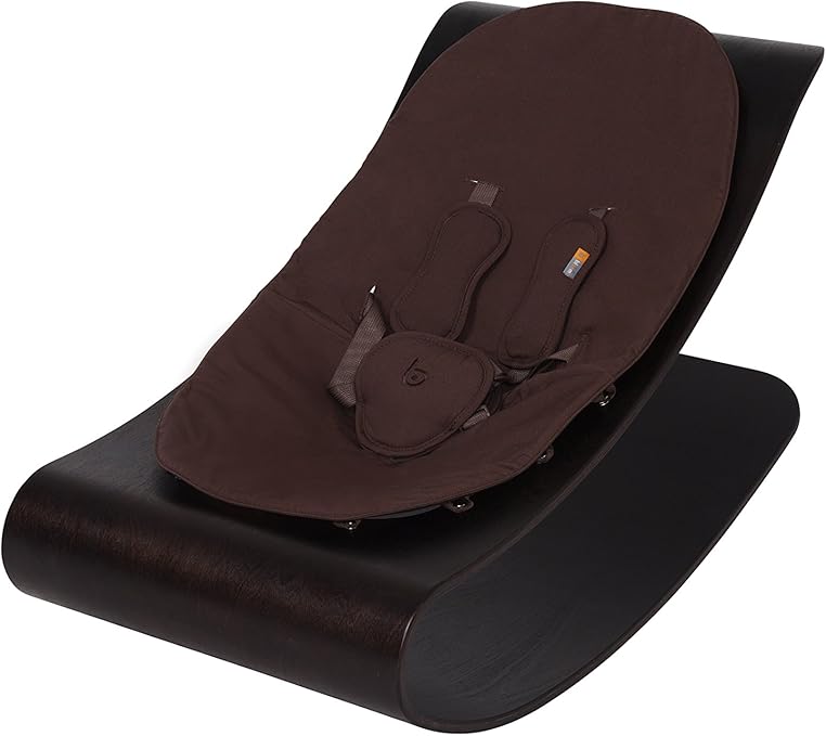 bloom rocker bouncer